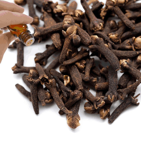Clove Bud Essential Oil