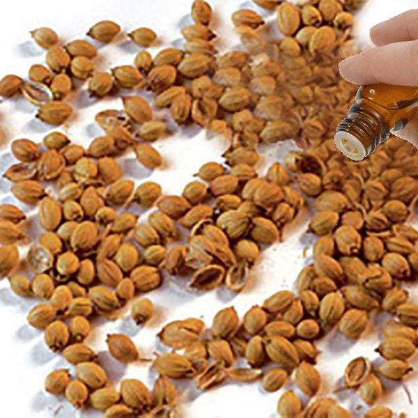Coriander Seed Essential Oil