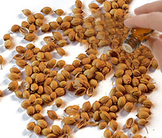 Coriander Seed Essential Oil