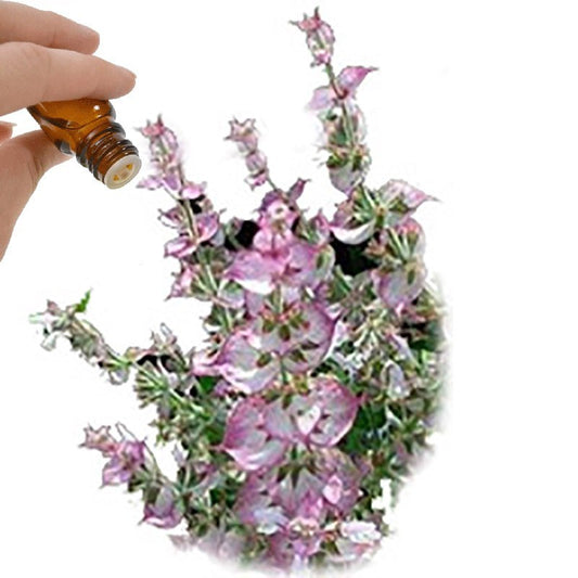 Clary Sage Essential Oil
