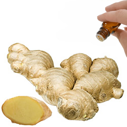 Ginger Root Essential Oil