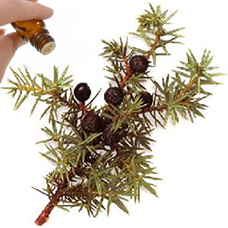 Juniper Berry Essential Oil