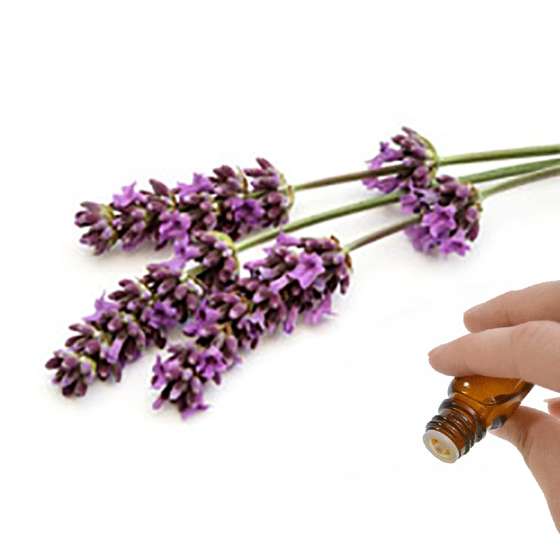 Lavender Essential Oil