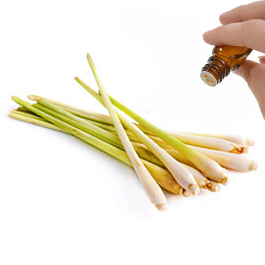 Lemongrass Essential Oil