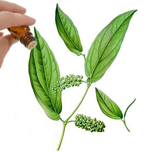 May Chang Essential Oil
