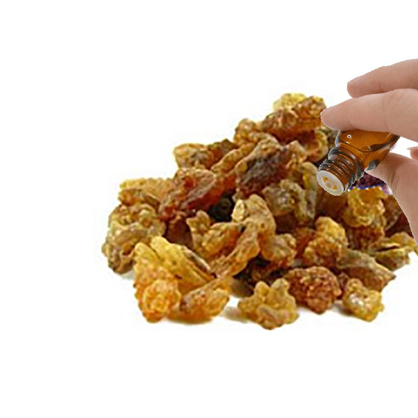 Myrrh Essential Oil