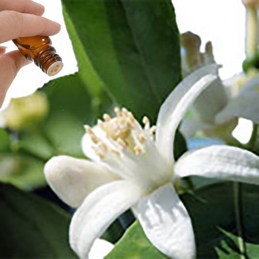 Neroli Essential Oil