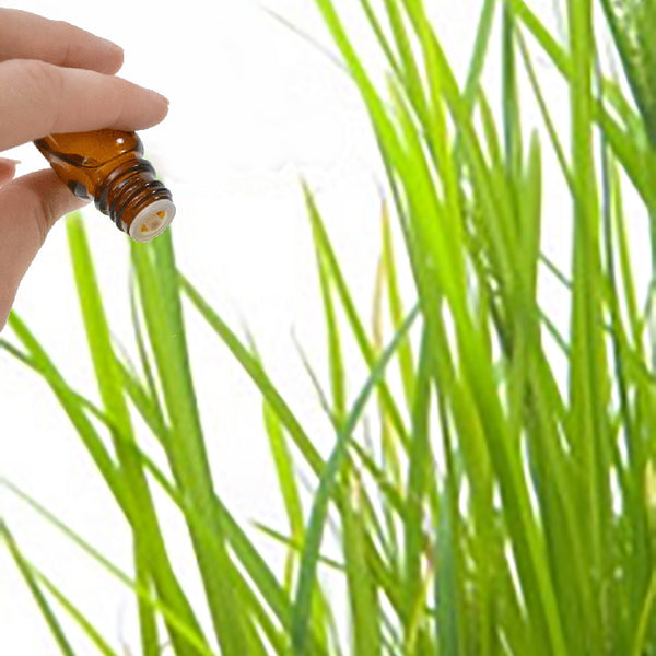 Palmarosa Essential Oil