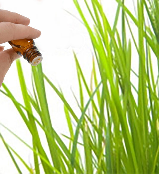 Palmarosa Essential Oil