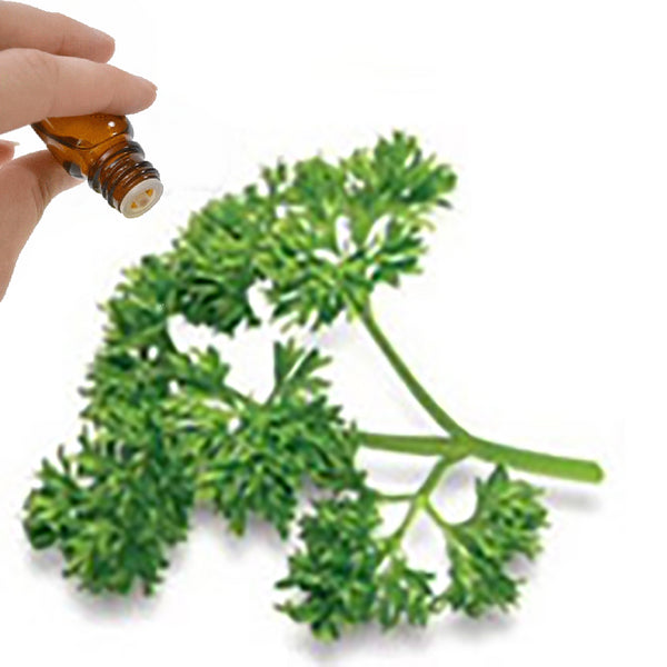Parsley Seed Essential Oil