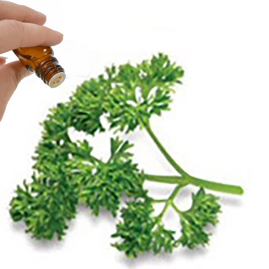 Parsley Seed Essential Oil