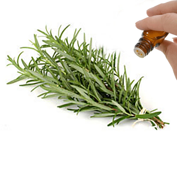 Rosemary Essential Oil