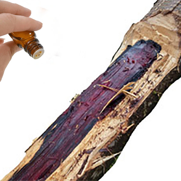 Rosewood Essential Oil