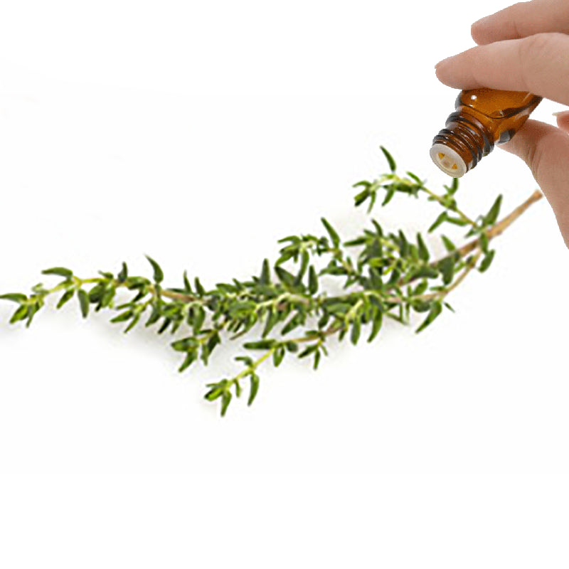 Thyme (Linalol)  Essential Oil