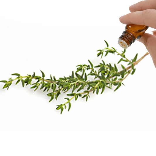 Thyme (Linalol)  Essential Oil