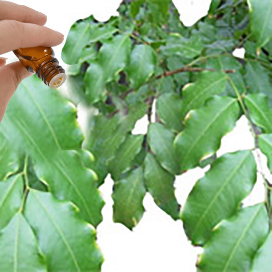 Peru Balsam Essential Oil