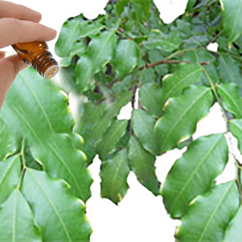 Peru Balsam Resinoid