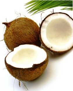 Coconut Oil (Fractionated)