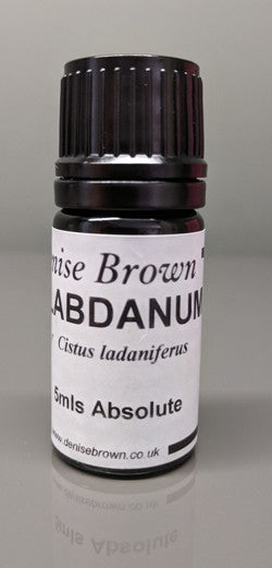 Labdanum Absolute  (10mls) Essential Oil