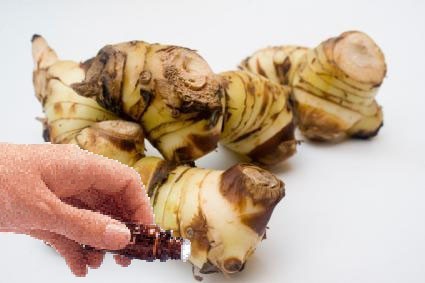 Galangal Root (2.5mls) Essential Oil