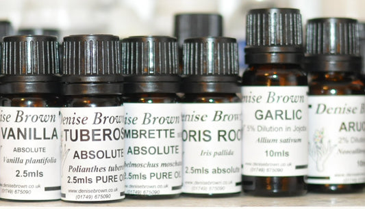 Champaca Abolute Type (5mls) Oil