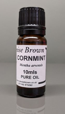 Cornmint (10mls) Essential Oil