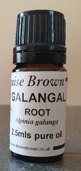 Galangal Root (2.5mls) Essential Oil