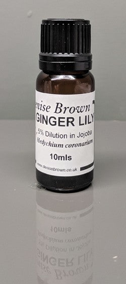 Ginger Lily Absolute Dilution (10mls) Essential Oil