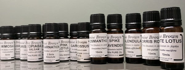 Honeysuckle Absolute Type (5mls) Oil