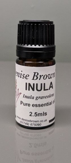 Inula (2.5mls) Essential Oil
