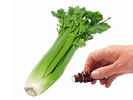 Celery Seed essential oil