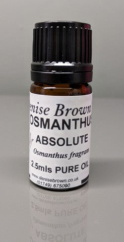 Osmanthus Absolute 'Type' (2.5mls) Essential Oil