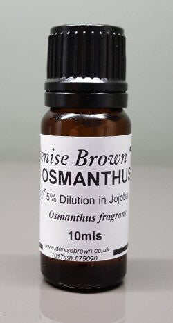 Osmanthus Absolute Dilution (10mls) Essential Oil