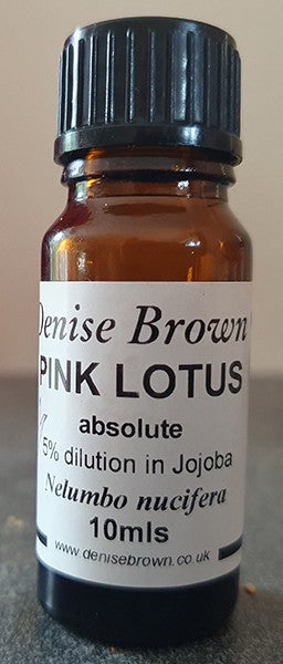 Pink Lotus Absolute  Dilution (10mls) Essential Oil