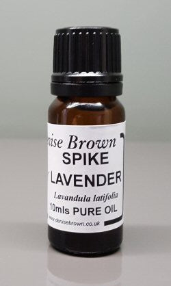 Spike Lavender  (10mls) Essential Oil