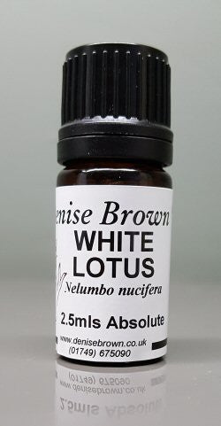 White Lotus Absolute 'Type' (2.5mls) Essential Oil