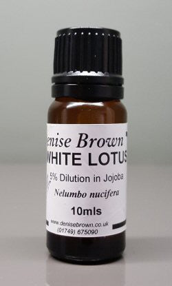 White Lotus Absolute Dilution (10mls) Essential Oil