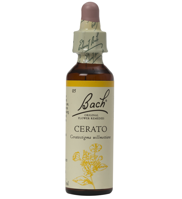 CERATO 20ML ORIGINAL BACH FLOWER REMEDY