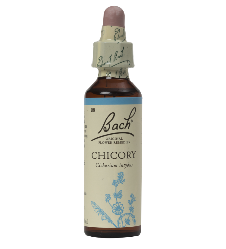 CHICORY 20ML ORIGINAL BACH FLOWER REMEDY