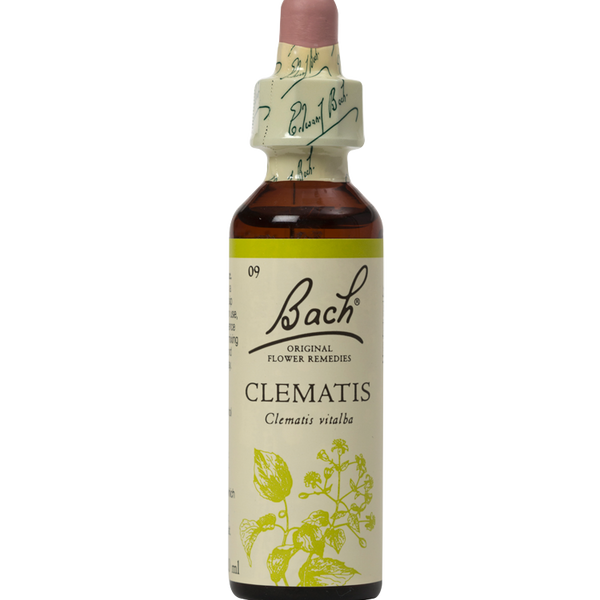 CLEMATIS 20ML ORIGINAL BACH FLOWER REMEDY