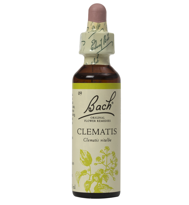 CLEMATIS 20ML ORIGINAL BACH FLOWER REMEDY