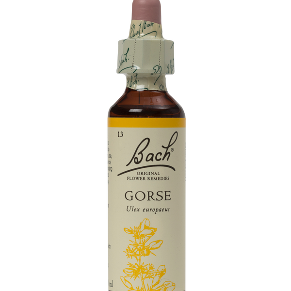 GORSE 20ML ORIGINAL BACH FLOWER REMEDY