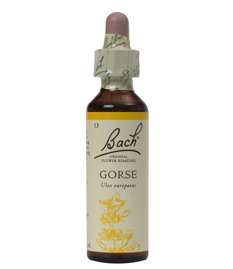 GORSE 20ML ORIGINAL BACH FLOWER REMEDY