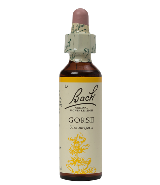 GORSE 20ML ORIGINAL BACH FLOWER REMEDY