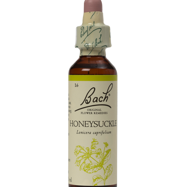 HONEYSUCKLE 20ML ORIGINAL BACH FLOWER REMEDY