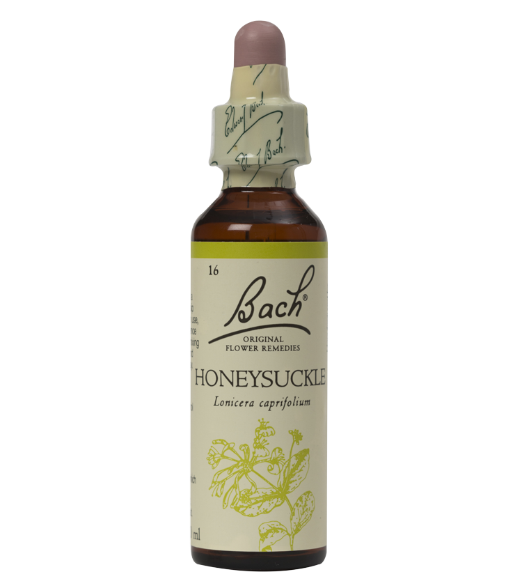 HONEYSUCKLE 20ML ORIGINAL BACH FLOWER REMEDY