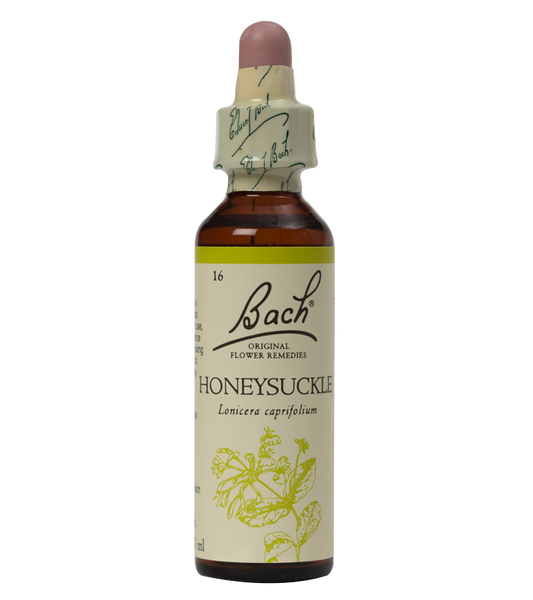 HONEYSUCKLE 20ML ORIGINAL BACH FLOWER REMEDY