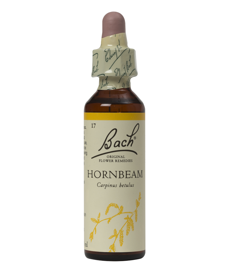 HORNBEAM 20ML ORIGINAL BACH FLOWER REMEDY