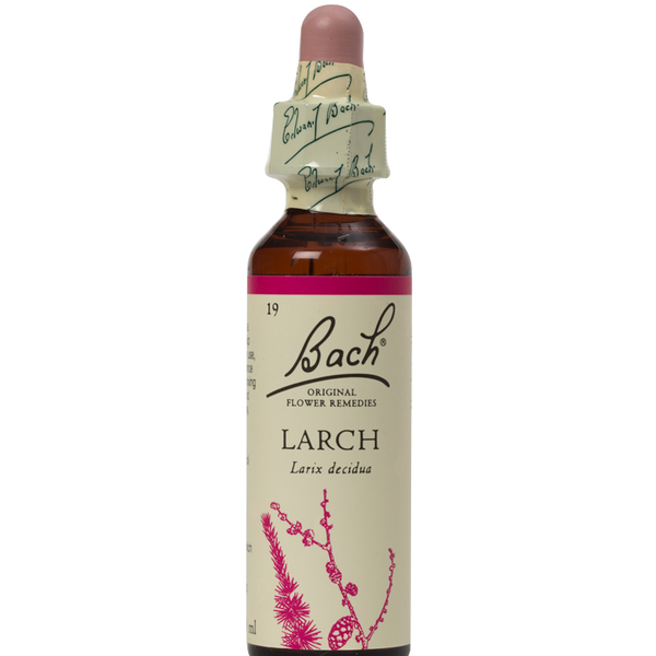 LARCH 20ML ORIGINAL BACH FLOWER REMEDY