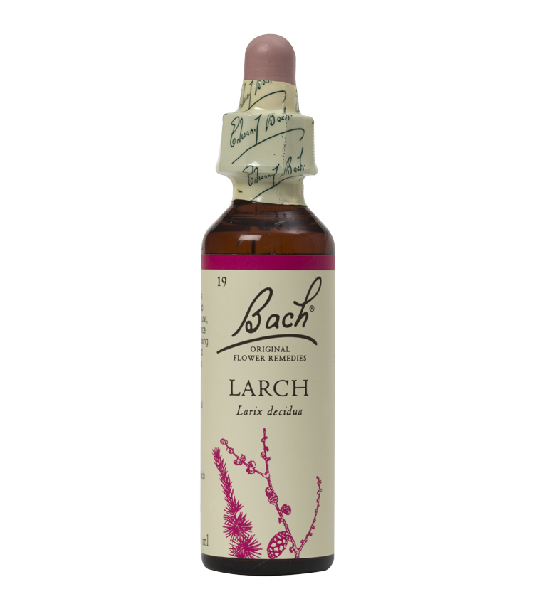 LARCH 20ML ORIGINAL BACH FLOWER REMEDY